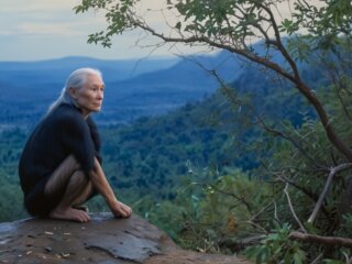 Jane Goodall enthüllt Schockierende Folgen Unseres Handelns auf die Natur