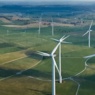 Rekordbeteiligungen bei Windenergie: Deutschland setzt Maßstäbe