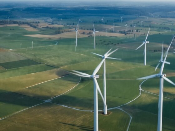 Rekordbeteiligungen bei Windenergie: Deutschland setzt Maßstäbe