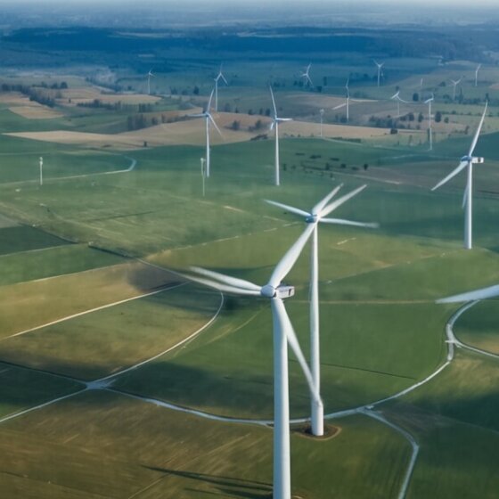Rekordbeteiligungen bei Windenergie: Deutschland setzt Maßstäbe